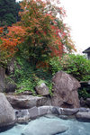 20081106_03340