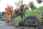 20081106_03393