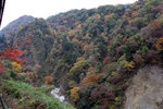 20081106_03427