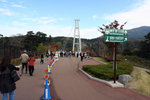 20081106_03482
