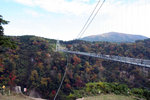 20081106_03522