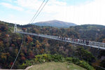 20081106_03532