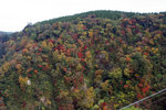 20081106_03546