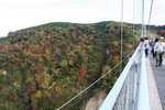 20081106_03561