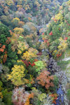 20081106_03598