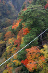 20081106_03608