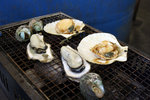 20081108_04688