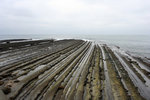 20081108_04708