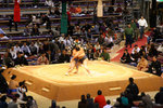 20081111_05755