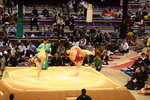 指定動作
20081111_05779