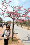 賞櫻第一擊,名護城公園
20110206_23256