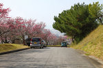 20110206_23311
