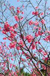 20110206_23314