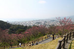 20110206_23319