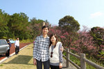 20110206_23326