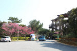 20110206_23328