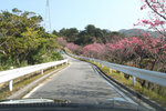 20110206_23330