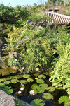 20110206_23433