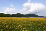 20090703_06711