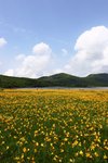 20090703_06729