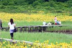20090703_06866