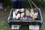 左邊細隻D係かきえもん
好好好食呀!
20091008_00357