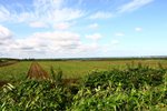 20091010_01378