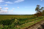 20091010_01380