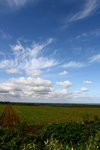 20091010_01381