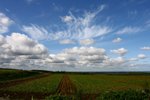20091010_01382