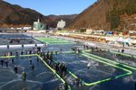 20100122_05442