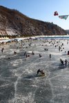20100122_05481
