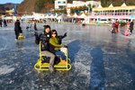 20100122_05507