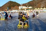 20100122_05561
