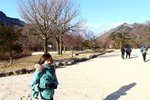 20100124_06106