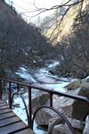 20100124_06207