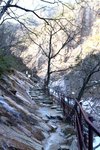 20100124_06244
