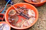 20100213_02400