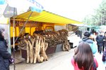 20100213_02476