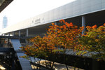 關西都紅
20101106_18975
