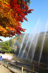 20101107_19631