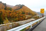 20101108_19968