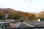 20101108_19994
