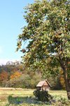 20101108_20233