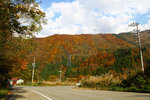 20101108_20593