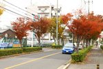 Rinku 也紅了!
20101113_03082