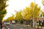 20101113_03107