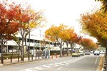 20101113_03113
