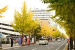 20101113_03118