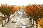 20101113_03139